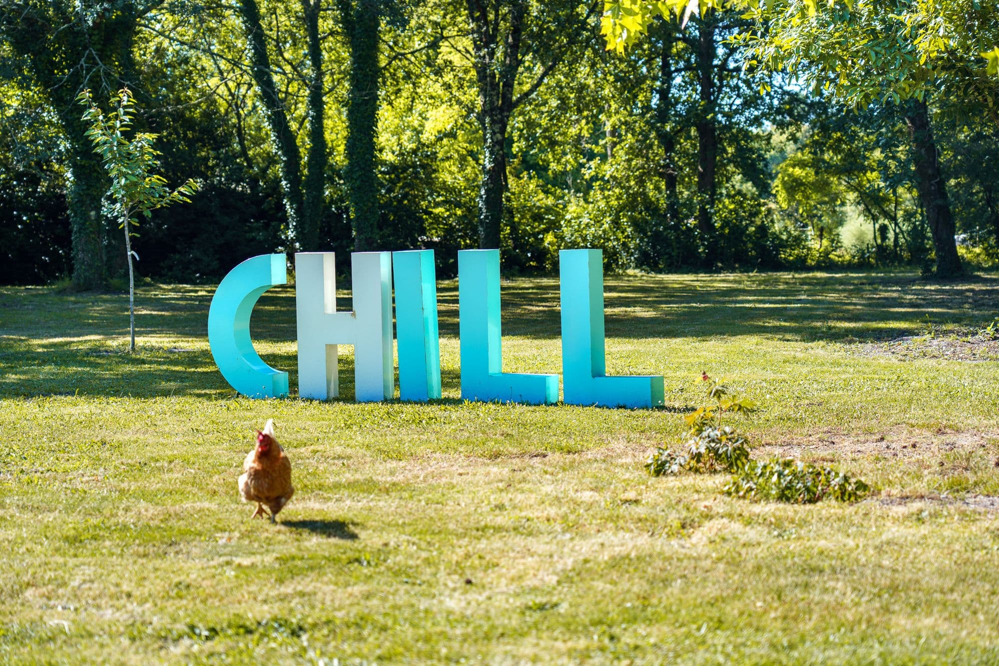 Les grandes lettres CHILL posées dans l'herbe du parc, une poule en promenade