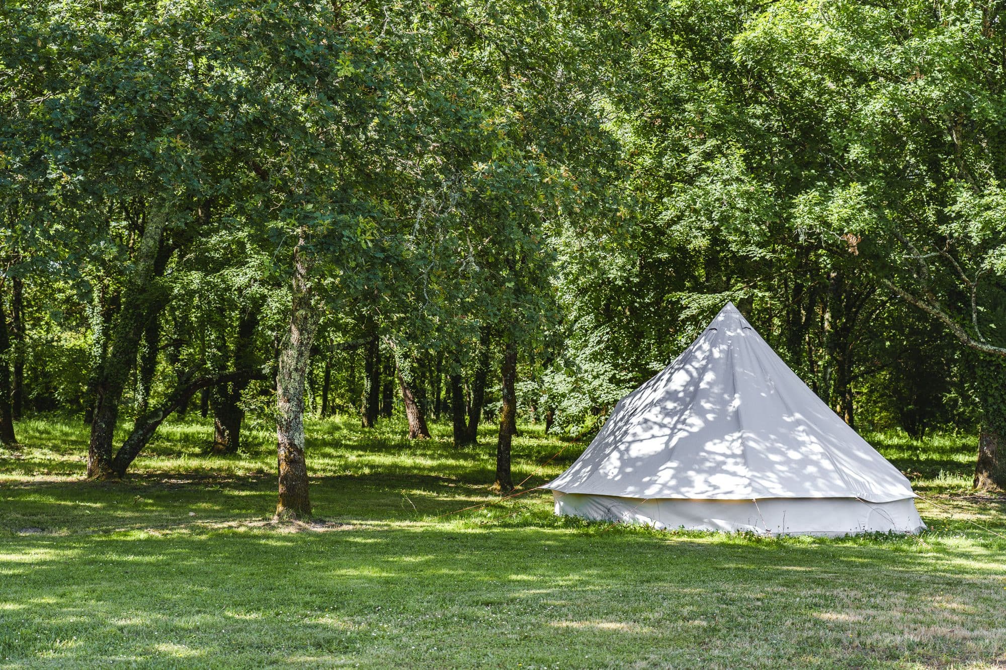 Le tipi blanc planté au milieu des arbres du parc