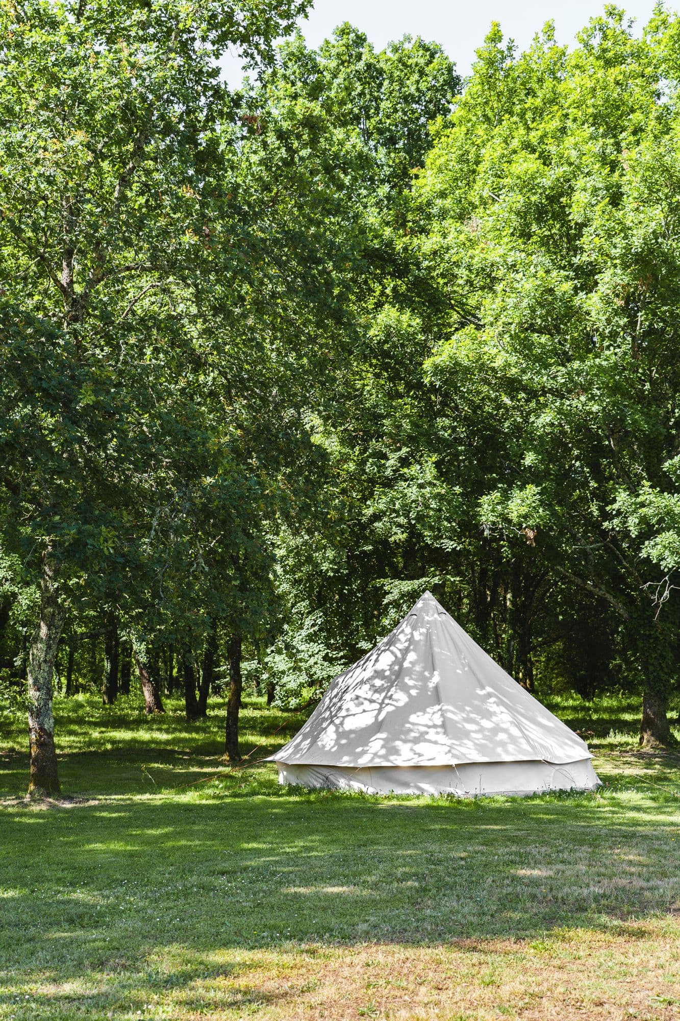 Le tipi blanc dans le parc, au matin